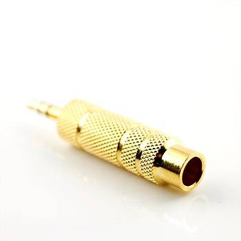 Stereo 3.5 mm Erkek - 6.3 mm Dii Gold evirici