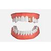 G�rsel 1