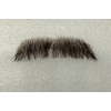 G�rsel 1