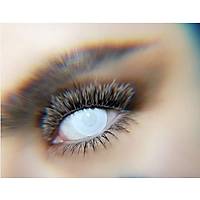 WHITE BLIND      - LENS