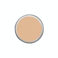 SOFT BEIGE MAT  FOND�TEN  14gm.