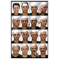 BALD CAP LATEX  KIT -LATEKS KEL KAFA SET