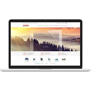 PlatinMarket Platin E-Ticaret Paketine Ge�i�