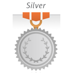 PlatinMarket Silver E-Ticaret Paketine Ge�i�