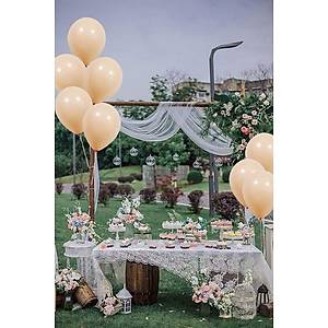 Makaron Pastel Somon Balon 30 cm 10 Adet