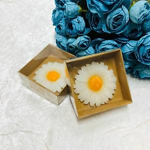 Papatya Mum Kraft Kutulu