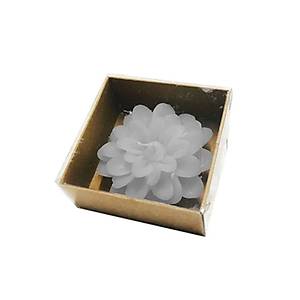 Krizantem Lotus Mum Kraft Kutulu