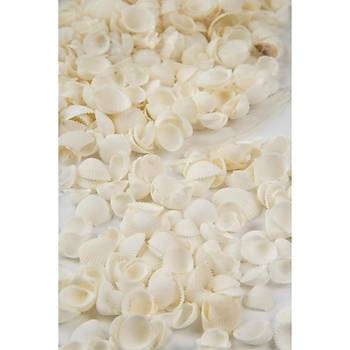 Orjinal Mini Midye Deniz Objesi 100 Gr