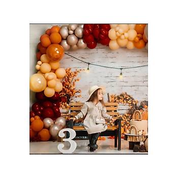 Koyu K�rm�z� Somon Yan�k Turuncu Sonbahar Konsept Balon Zinciri Seti 100'l�