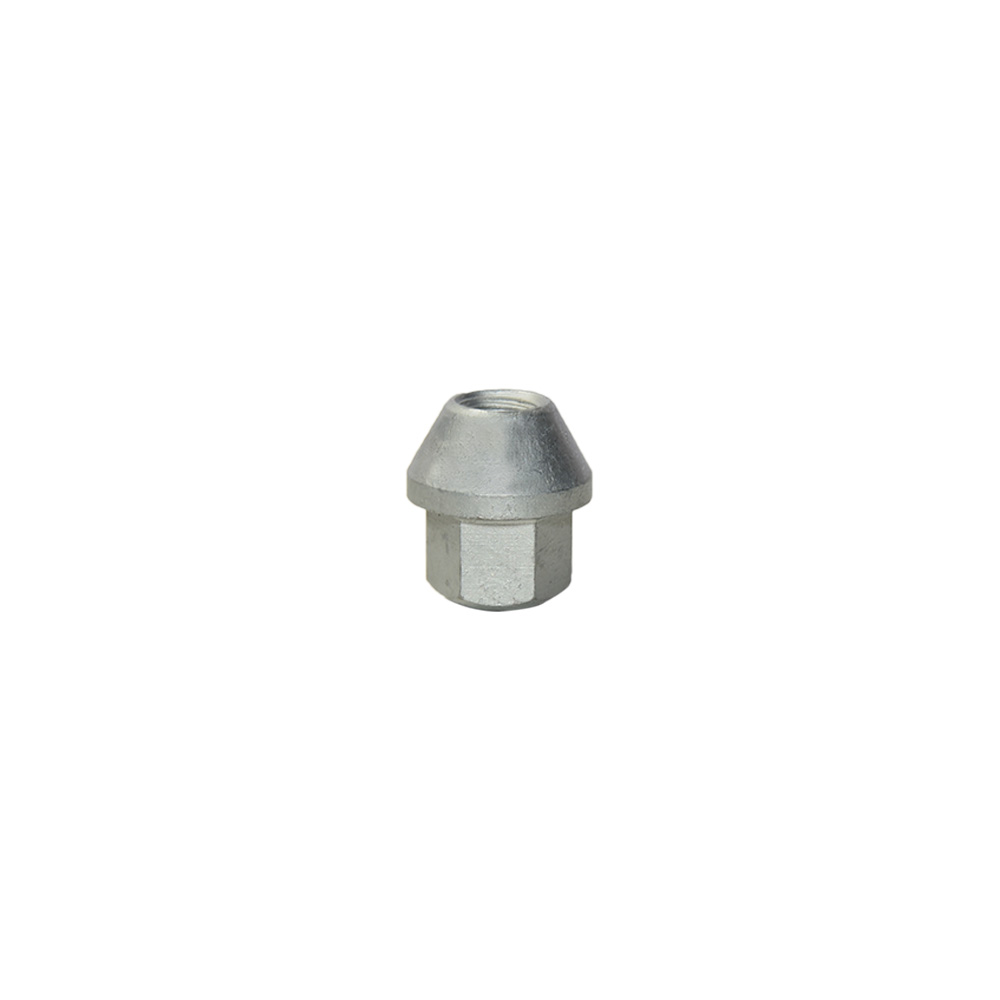 Bijon Somunu Ford Focus  (Sw 19M12/1,5*31) Dakro Kaplama 2 Adet