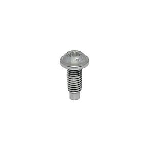C�vata Torx M6x16X11mm 10 Adet