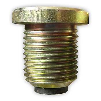 Karter Tapas M16X16X22 8 Allen Mknatsl 7703075210 Renault R9 R12 2 Adet
