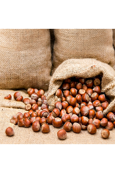 D�kme Kabuklu F�nd�k - 1 Kg.