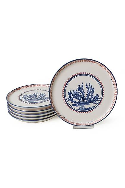 Marine Wonders Kahvalt Takm 12 Para 6 Kiilik 22741-22906