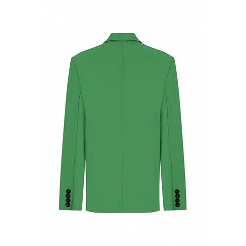 Alin's Green Ceket
