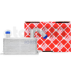 G�rsel 3