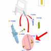 G�rsel 4