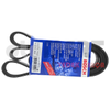 G�rsel 1
