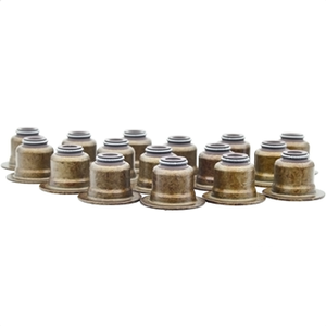 Fiesta 1.25-1.4 DOHC Benzinli Subap Lastik Tak�m� (16 ADET) 1996-2001 | SKT