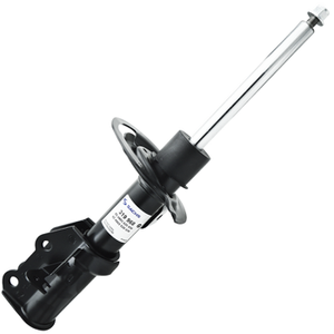 Focus �n Amortis�r 2018-2024 (SA�) | SACHS