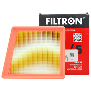 Courier (Euro 5) Hava Filtresi 2014-2018 | FILTRON