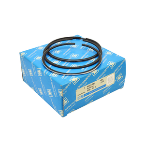 Transit 2.5 Dizel  Segman Tak�m 0.65 mm 1988-1992