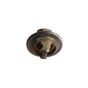 Escort 1.6 CL Termostat (82�C) 1991-1995 | OES