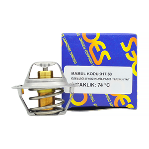 P100 Termostat (60�C) 1992-1997 | OES