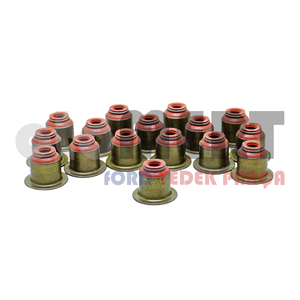 Focus 1.6 TDC�  Subap Lastik Tak�m� 2005-2011 | SKT