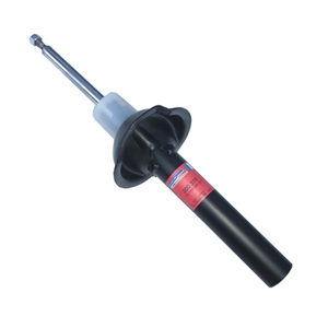 Escort �n Amortis�r (Gazl�) 1996-2000 | SACHS