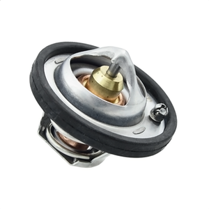 Focus Termostat (82�C) 1998-2005 | OEM