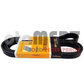 Escort 1.6 CLX V Kay (-AC/Klimasz) 1996-2000 | CONTITECH