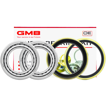 Festiva n Teker Bilya Takm | GMB