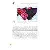 G�rsel 15