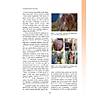 G�rsel 24