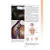 G�rsel 29