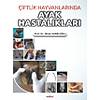 G�rsel 1