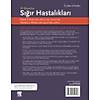 G�rsel 2
