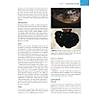 G�rsel 25