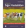 G�rsel 1
