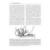 G�rsel 27