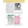 G�rsel 30
