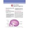 G�rsel 43
