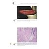 G�rsel 19