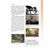 G�rsel 19