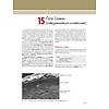 G�rsel 49
