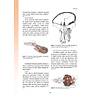 G�rsel 20