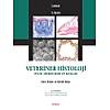 G�rsel 1