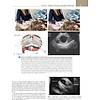 G�rsel 24