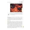 G�rsel 23